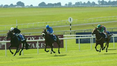 A mare in a million whose Irish Oaks anniversary could be marked by a very fitting winner