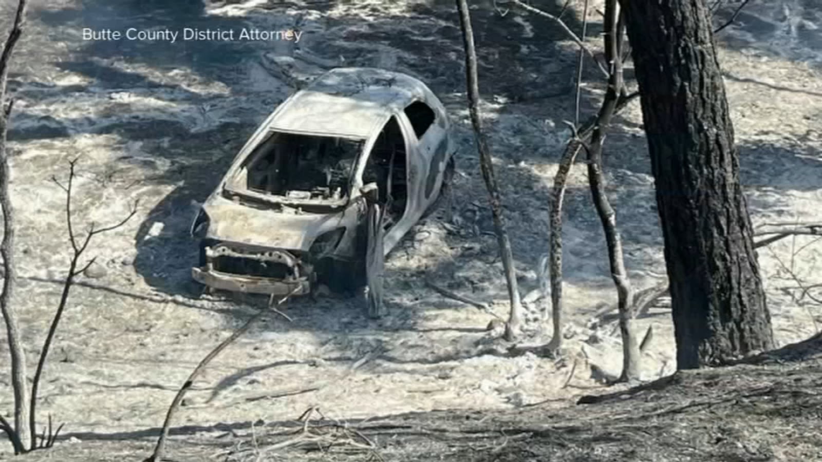 Park Fire: CA man charged with arson for allegedly igniting largest active wildfire in US