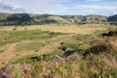 Queen Elizabeth Park, Kāpiti Coast