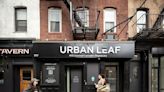 Dispensary Design a Joint Effort at Urban Leaf