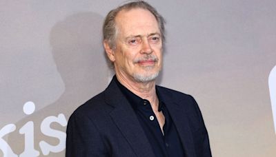 Steve Buscemi punched while walking street in New York City