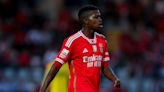 Benfica vs Chaves Prediction: The Eagles Lurk In The Shadows Ready To Exploit Their Opponents Defense Shortcomings...