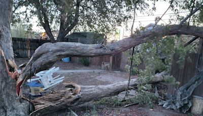 WATCH LIVE: City of Colorado Springs provides update on wind damage