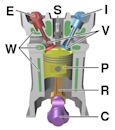 Reciprocating engine