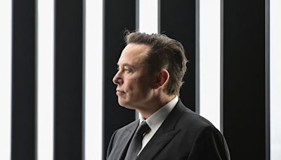 Musk promises to deliver ‘the world’s most powerful AI’ by later this year