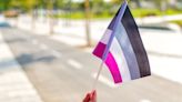 Asexual Spectrum: Defining Attraction and Orientation