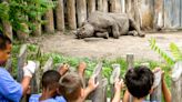 Then and Now: Potter Park Zoo through the years