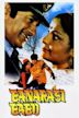 Banarasi Babu (1973 film)