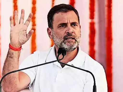 My 'Bharat Jodo Yatra' was inspired by Rajasekhara Reddy's 2003 yatra across Andhra: Rahul Gandhi | India News - Times of India