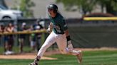 IHSAA baseball tournament: See who lifted sectional trophies