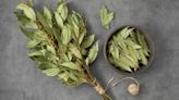 A Guide To Bay Leaves And How To Use Them