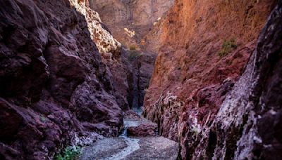 ‘Who pooped in the Hot Springs?’: Arizona Hot Springs on high alert for fecal bacteria