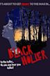 Black Holler