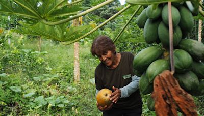 El reto de comer en Galápagos: cuando la seguridad alimentaria depende del continente