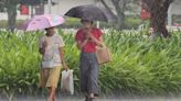 氣象預報》颱風艾維尼今午後生成！路徑大迴轉「劇烈降雨時間曝」，一周天氣出爐-風傳媒