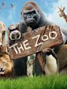 The Zoo