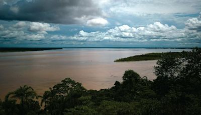 Río más caudaloso del mundo está en Sudamérica y atraviesa 8 países, incluyendo a Colombia