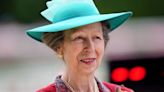 Princess Royal: What is concussion and how is it treated?