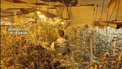 Interior ya tiene adjudicada una empresa para destruir plantaciones de marihuana en Málaga y Granada