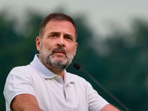 Farmer Leaders To Meet Rahul Gandhi Over Private Members' Bill Today