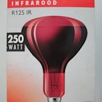【照亮我家】PHILIPS Infrared lamp R125 IR 250W E27 220V 紅外線燈泡(荷蘭製)
