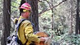 Crews battle Cherry Fire, spot fires: Siskiyou, Trinity fire updates