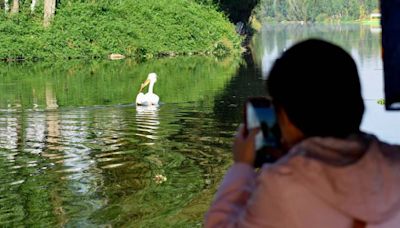 Así es un safari fotográfico por los canales de Tláhuac