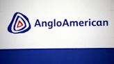 Anglo American has sought fertiliser partners for months, says CEO