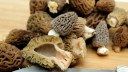 The Best Morel Mushroom Recipes