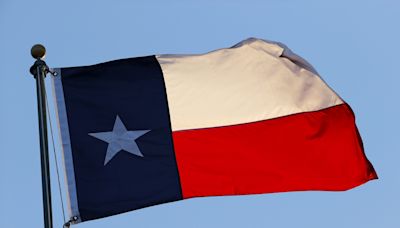 Texas secessionists working with five other states, leader says