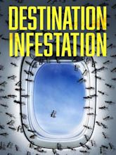 Destination: Infestation