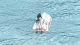 紐西蘭觀光船「疑遭鯨魚撞擊」翻覆 11乘客5死！求救畫面曝