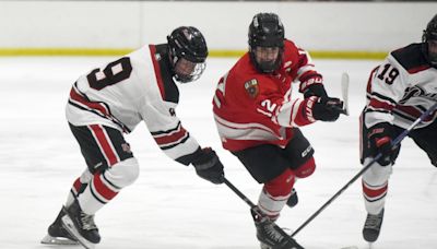 Charity 3-on-3 hockey tournament has openings for Sunday in Bridgeport, benefitting special hockey