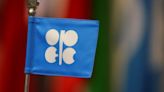OPEC+ online meeting suggests "nothing to see here" - RBC