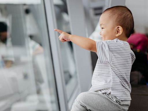 The Best Plane Seat To Book If You're Flying With A Baby