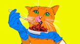 Lab-Grown Meat for Your Cat Is Coming to the U.S. This Year