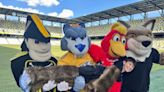 These Nashville sports mascots put a massive smile on this boy's face. Here's why.