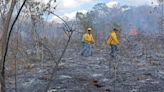 Plan de Emergencia por Incendios Forestales en el Sur del Estado