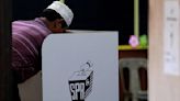 Malaysia to hold its general election on Nov 19