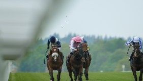 Chorister possesses the Caius to unlock this Gold Cup field