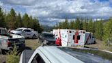Man airlifted to hospital after bear attack in B.C. Rockies: RCMP