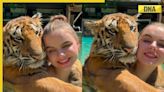 Woman swims with tiger in viral video, internet stunned by unlikely friendship