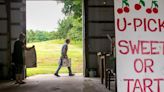 EARLY HARVEST: Taste Traverse City at this year's National Cherry Festival