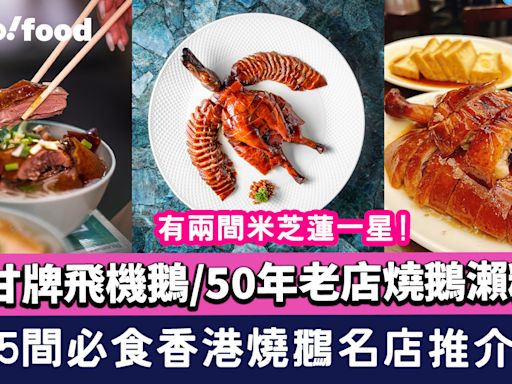 燒鵝推介〡5間必食香港燒鵝名店推介！甘牌飛機鵝/50年老店燒鵝瀨粉