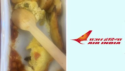 Air India passenger finds cockroach in food served on Delhi-New York flight; airline expresses concern