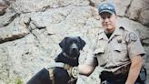 Colorado Parks and Wildlife K9 receives life-saving heart treatment from CSU vet hospital