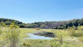 Sycamore Land Trust preserves a wetland while adding educational center in Indiana