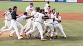 College baseball: No. 1 Southeastern wins NAIA World Series