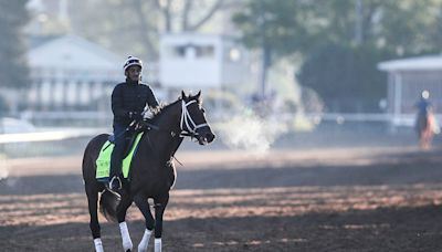Catching Freedom trainer, jockey, owner and more to know about Preakness 2024 horse
