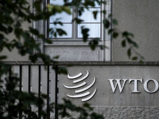 WTO says China is backsliding on key reforms and lacks transparency on subsidies